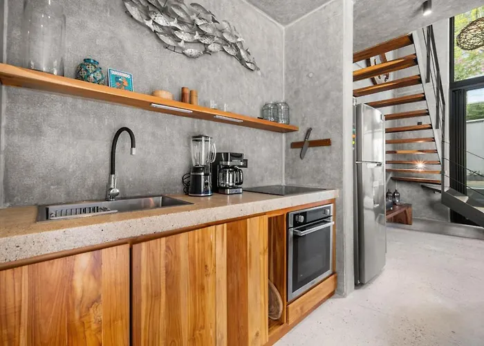 Tl1 Bright Stylish Loft With Views Apartment Tamarindo